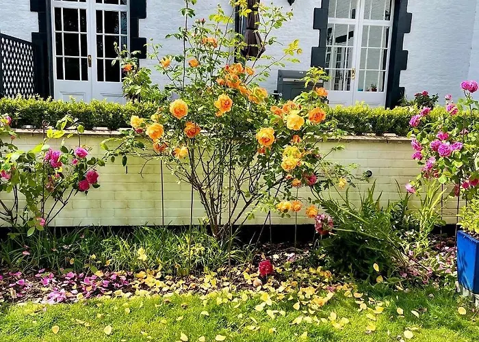 Eagle House - Award Winning B&B And Apartment